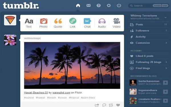 The free Tumblr blogging platform