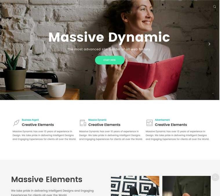 Massive Dynamic WordPress Theme