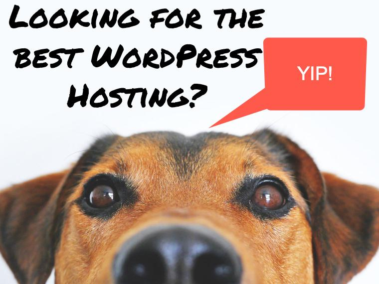 Best WordPress hosting