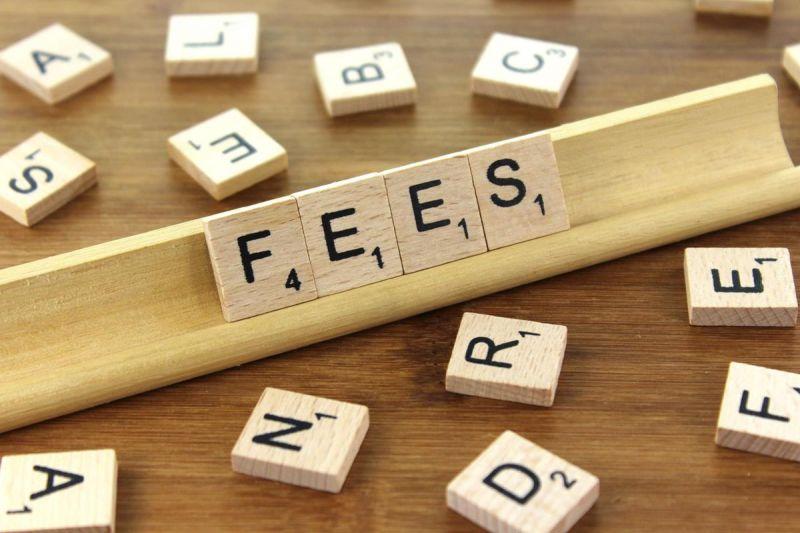 domain fees