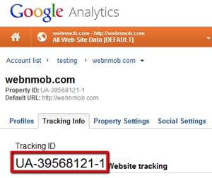 Your unique blog tracking ID from GA