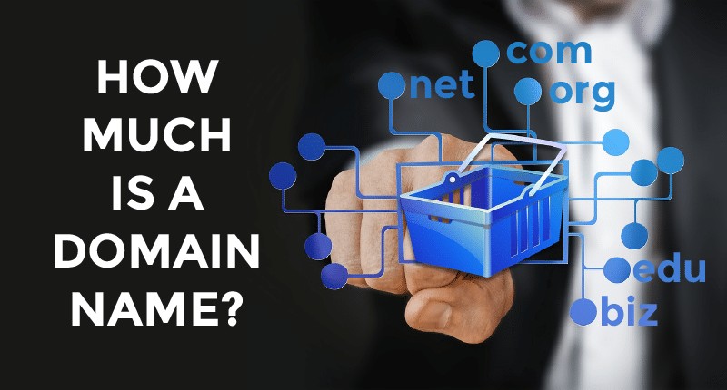 How Much Does A Domain Name Cost Per Year One