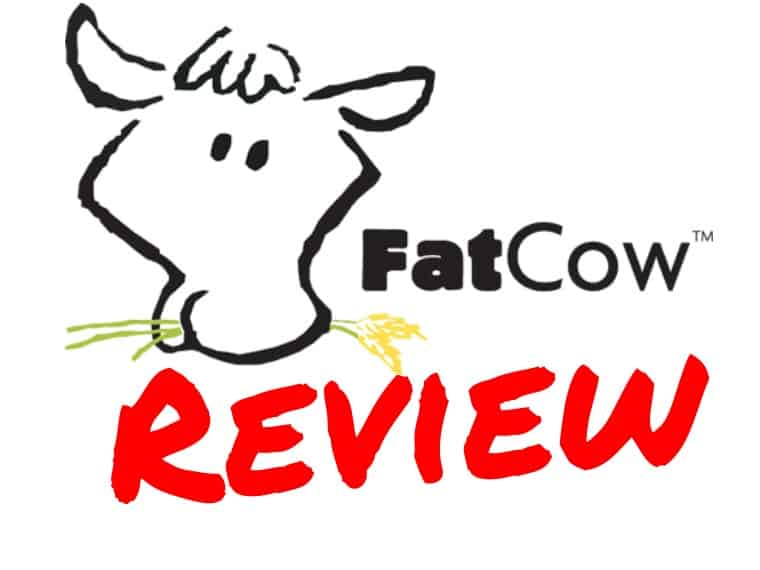 FatCow review