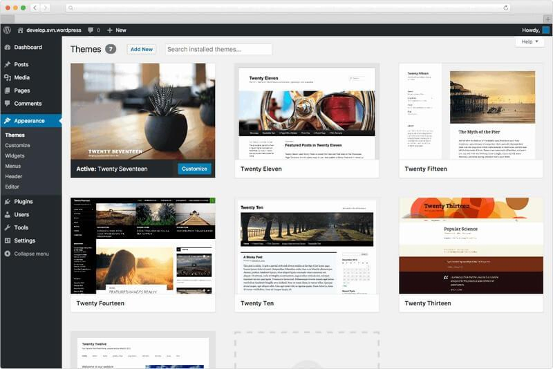 wordpress cms