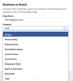 Choose Facebook page business or brand type