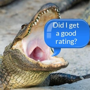 HostGator reviews website hosting rating