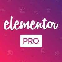 Elementor Pro logo